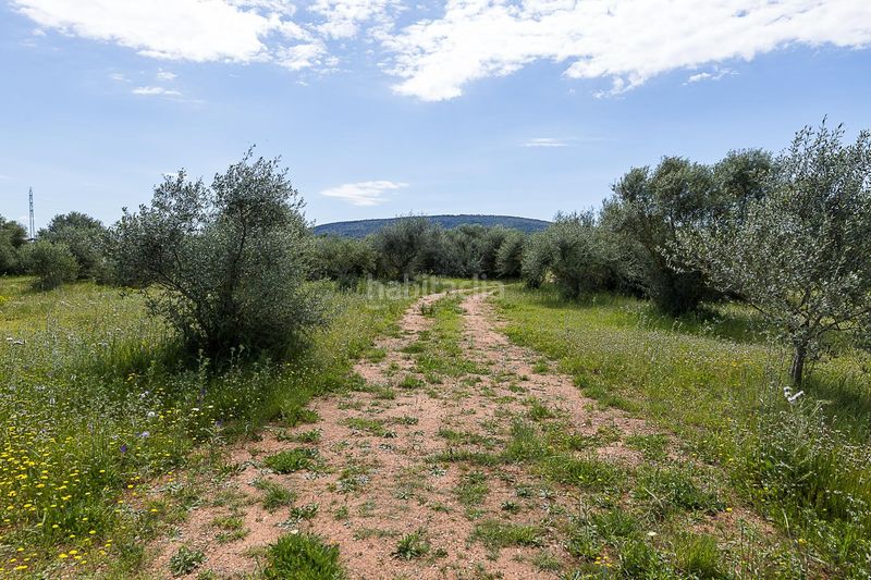 Foto 8691152f-ee97-4e48-b921-48aee6007428. Finca rústica a Santa María del Camí