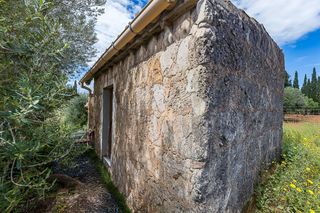 Rural plot in Santa María del Camí. Finca rústica en santa maria del camí