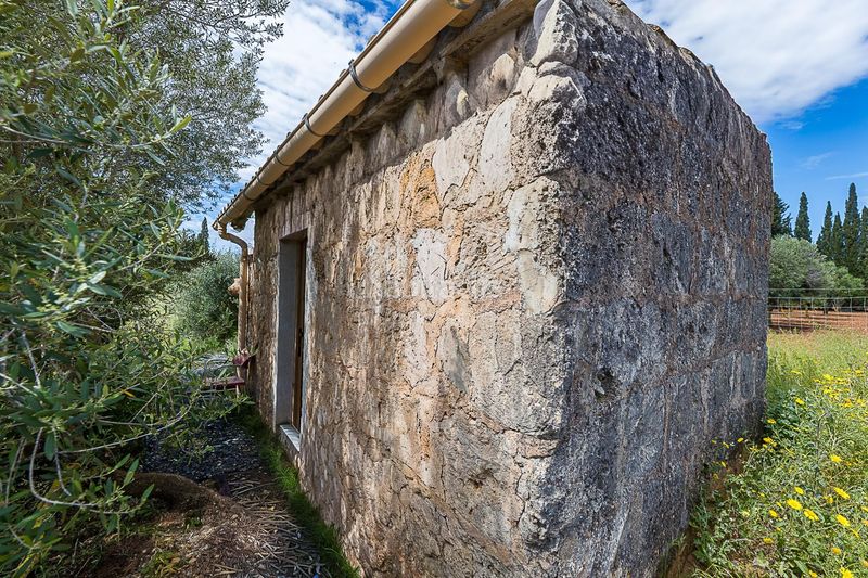 Foto 98938176-5903-4686-a267-f1b643ac7f21. Finca rústica a Santa María del Camí