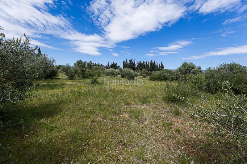 Foto da120fb5-87fd-4ce5-a2e2-5c314adb2f35. Finca rústica a Santa María del Camí