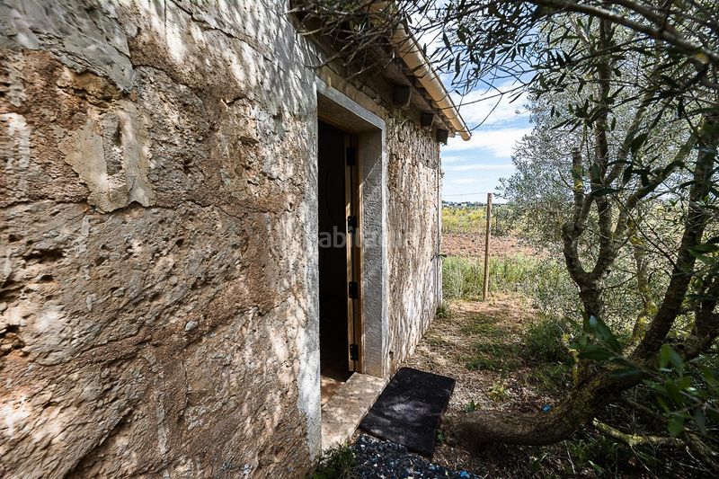 Foto df97f625-a1b0-4f21-a42f-c7d93e5c722e. Finca rústica a Santa María del Camí