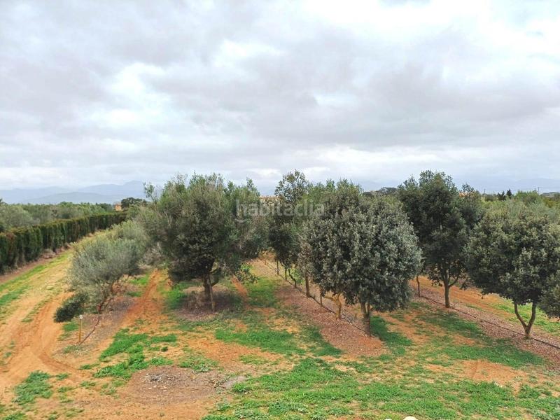 Foto f0d0c1bd-bcc8-4f17-9c02-b542dfd132b6. Location maison avec chauffage parking dans Sencelles