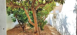 Business premise in Son Cotoner. Localgaraje con cambio de uso a vivienda con jardín en son coton