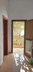 Planta baixa a Son Cotoner. Local con cambio de uso aceptado a vivienda con jardín en son co