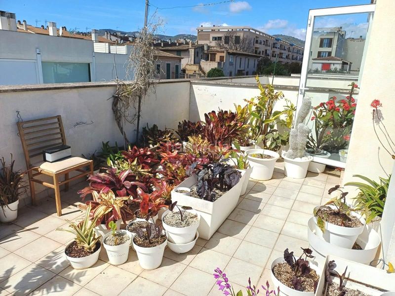 Foto b204a5ca-992a-4ccc-bced-1af31638385e. Casa adossada amb calefacció aparcament a Son Serra-Sa Vileta Palma de Mallorca