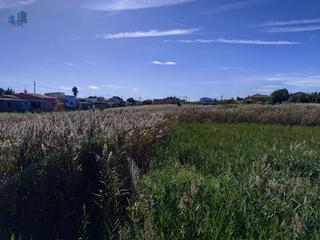 Masia  Serrallo 72. Finca rúst. en venta en grao de castellón  tres banderas.