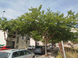 Terreny residencial a Carrer les moreres 26. Solar de 100m a la venta