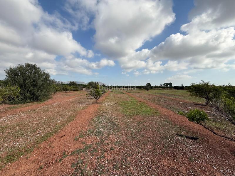 Foto 0230575c-13da-457a-a8d0-4567c14784b7. Landgut in polígono 27 129 in El Puig El Puig de Santa Maria