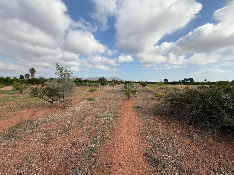 Foto 344c1ccf-6f0f-4996-bb63-4584e4c5e63f. Landgut in polígono 27 129 in El Puig El Puig de Santa Maria