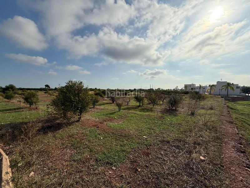 Foto 5133f274-a555-4f7a-bfcf-85b7a2c0f819. Landgut in polígono 27 129 in El Puig El Puig de Santa Maria