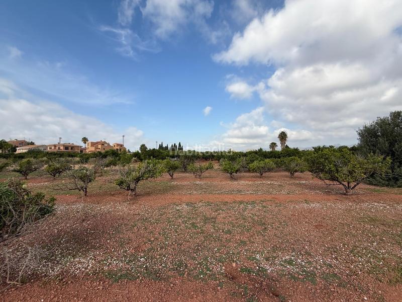 Foto 74a864a0-bea4-4dc2-8001-9ef367b3809d. Landgut in polígono 27 129 in El Puig El Puig de Santa Maria