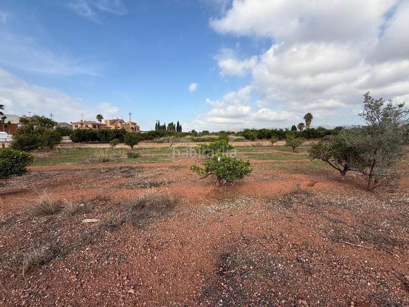 Foto 870a0521-a955-4dc1-886f-c64701875a0a. Landgut in polígono 27 129 in El Puig El Puig de Santa Maria