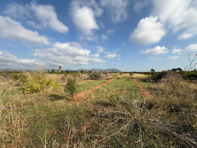 Foto 8a05b1c8-dea7-40e6-b8d5-39e6234332ae. Landgut in polígono 27 129 in El Puig El Puig de Santa Maria