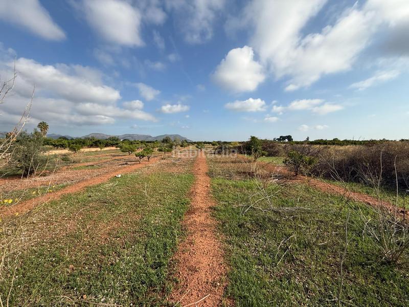 Foto e4116f68-839d-4ec0-aed8-21bb95552006. Landgut in polígono 27 129 in El Puig El Puig de Santa Maria