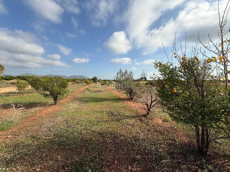 Foto ea83e5fe-543c-4cb2-8e56-52419b5e1ca7. Landgut in polígono 27 129 in El Puig El Puig de Santa Maria