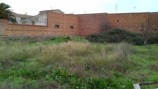 Finca rústica a Albalate de Cinca. Centro de la población