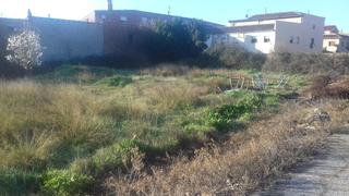 Finca rústica a Albalate de Cinca. Entre la notaría y la estación de servicios.