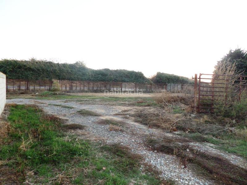 Foto 7f950844-0d05-4d9a-a5df-81ed68209059. Finca rústica próximo a valcarca en Binaced