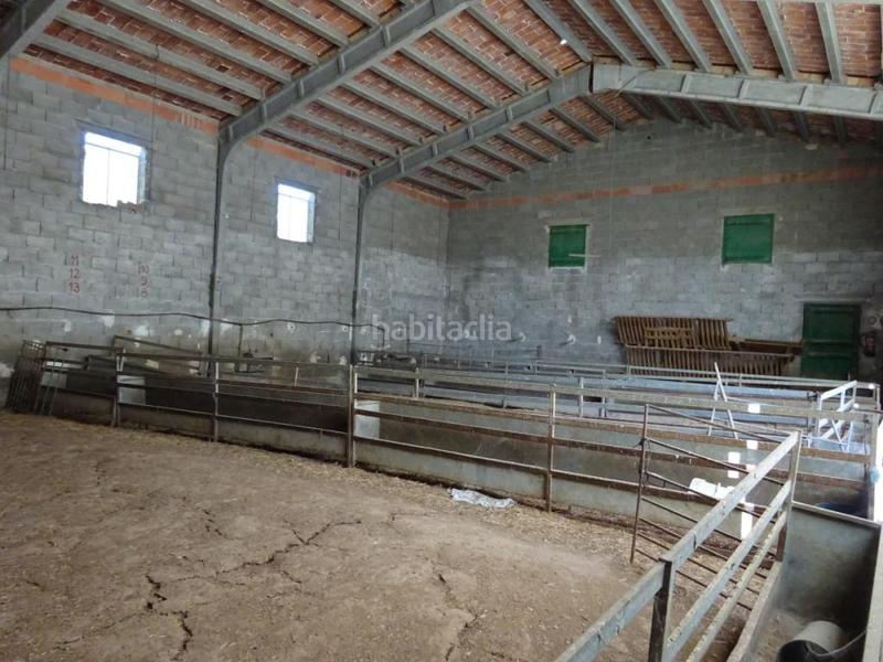 Foto d2552e20-d343-4d17-83c0-b670cf2ac2d8. Finca rústica próximo a valcarca en Binaced
