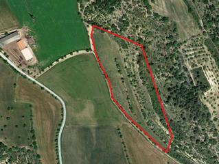 Finca rústica a Puebla de Castro (La). La puebla de castro