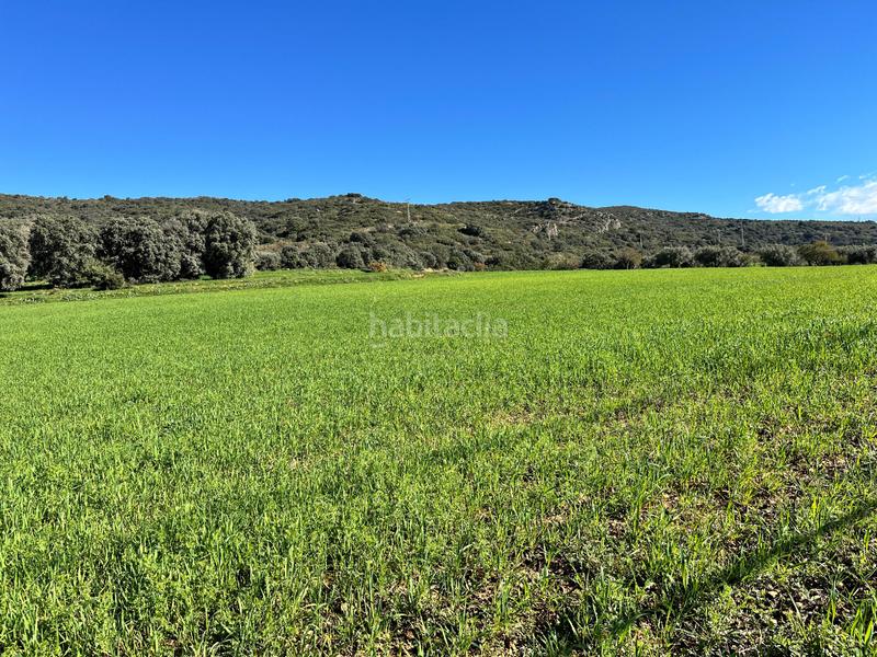 Foto 636b08ee-e0df-47c7-8b86-0dfcf61f0825. Finca rústica a Alquézar