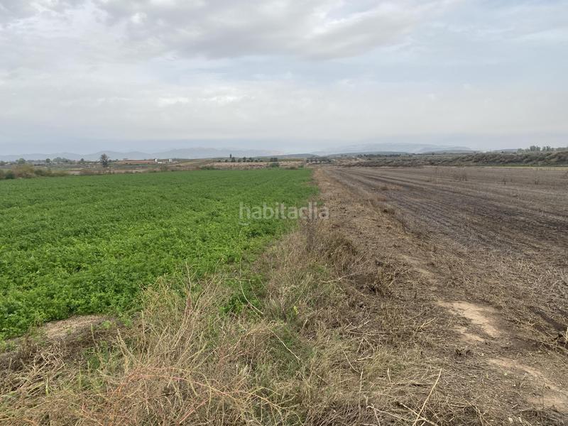 Foto c7618ca7-f087-4043-9491-7339298cf100. Finca rústica partida penal de bellcaire en Bellcaire d´Urgell