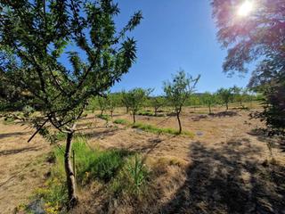 Rural plot in Binaced. Muy cerca de la población