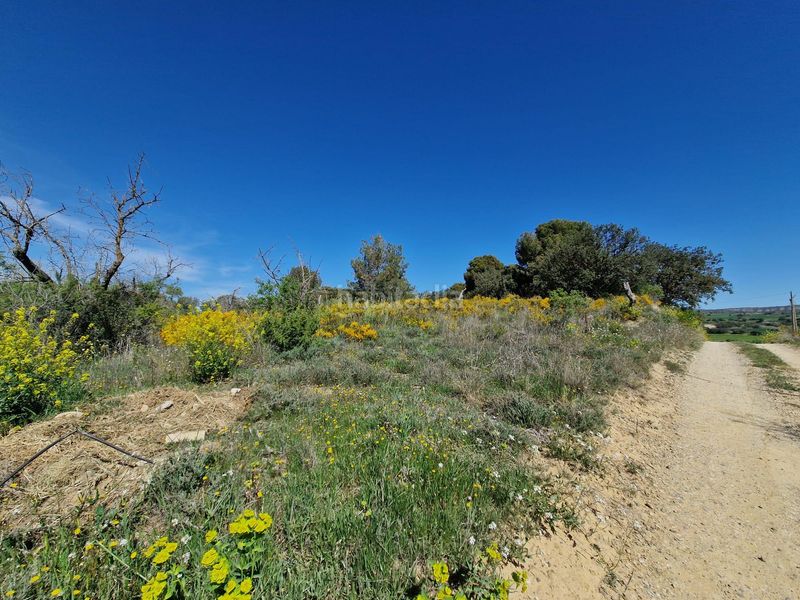 Foto 025d5760-009f-4ff2-9cf1-1fe943aeb88f. Finca rústica a San Esteban de Litera