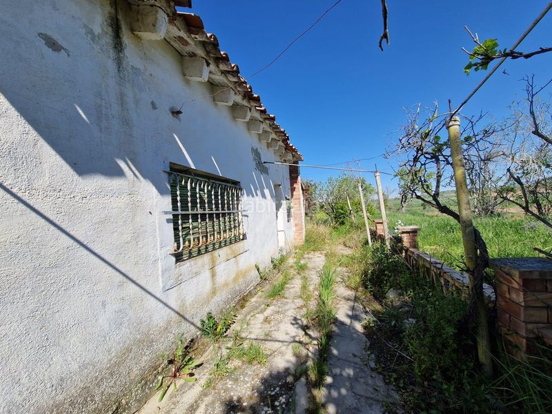 Foto 1c4d85ea-71d8-49af-a5dc-3cd880ced210. Finca rústica a San Esteban de Litera