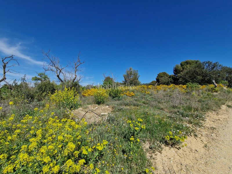 Foto 587e757a-cfe4-47c9-9cf1-6e3ef241b052. Finca rústica a San Esteban de Litera