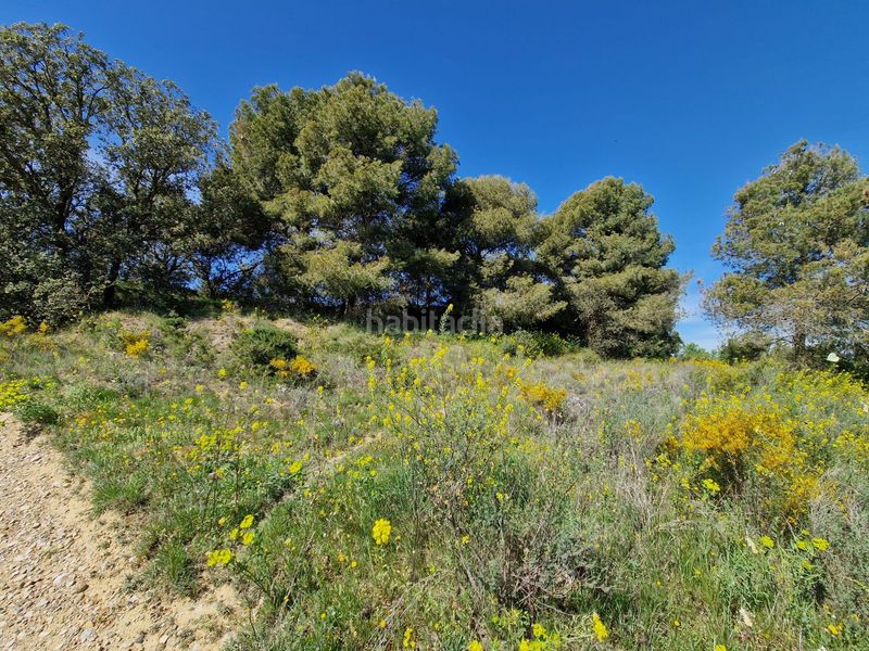 Foto 94187bc9-a1d4-4b2c-b2dc-6505a3ee2707. Finca rústica a San Esteban de Litera