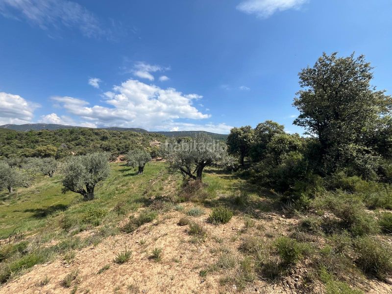 Foto c0448d1d-eaa3-4576-95a6-34c6c8fce777. Finca rústica a Alquézar