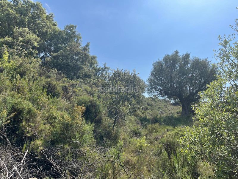 Foto 9d0a10f3-f926-4f46-a656-6798d9cbbbe6. Finca rústica a Alquézar