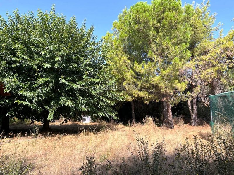 Foto 2592973d-8435-41da-ab93-bce1c087f0e0. Xalet a Binéfar