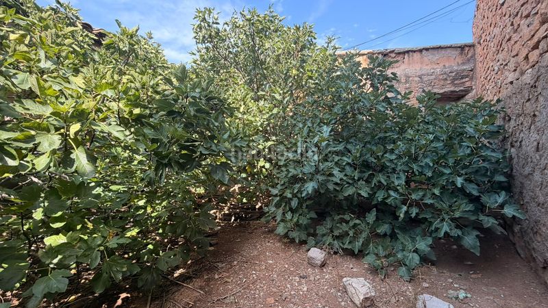 Foto 97c7a476-fd97-43dd-9bd0-1331eb2d9099. Finca rústica a Ontiñena