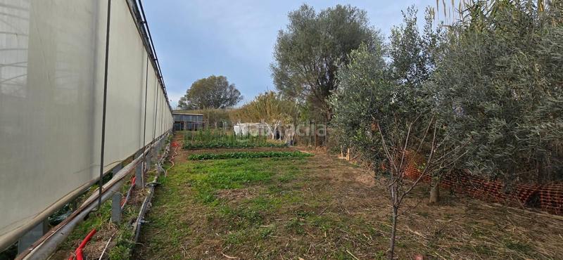 Foto 278dbdda-2383-43e3-91de-976d3cbdafbf. Fondo rustico in Gava Mar Gavà