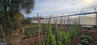 Finca rústica a Gava Mar. Terreno agrícola a la venta