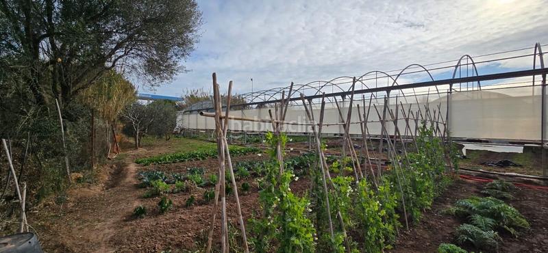 Foto 8684fdd9-fcb7-47b3-894c-9385455c02a0. Fondo rustico in Gava Mar Gavà