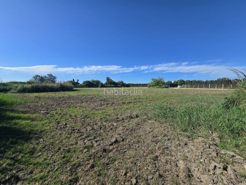 Foto 3f225e1d-f305-4815-aa11-aa593f05cf12. Finca rústica a Vilamarina Viladecans