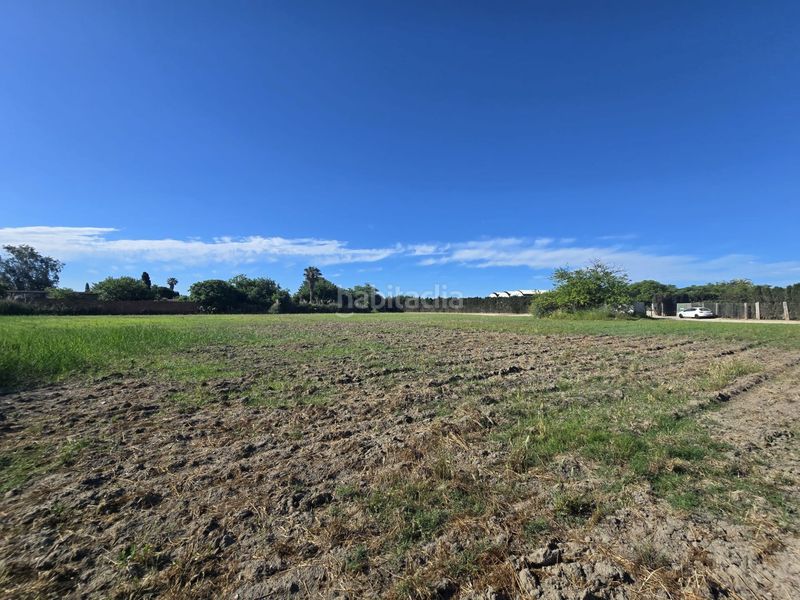 Foto 41f21224-b1ba-41e4-9693-b8e47a8f535d. Finca rústica a Vilamarina Viladecans