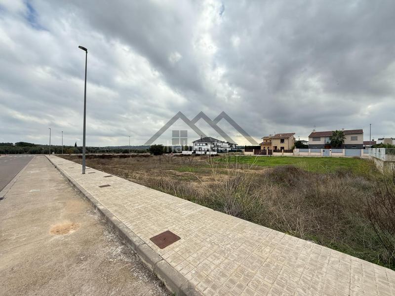 Foto e4eddb88-21b0-4030-89cd-6cbc66396b81. Terreno residencial parcela urbana oportunidad ideal para promotores e inversores en Cheste