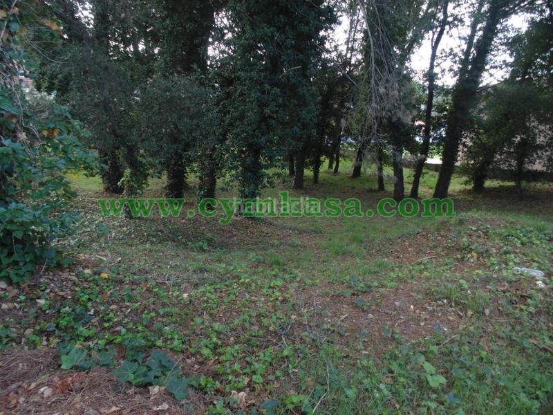 Foto 2da75104-1e53-45b3-aa69-ea47aaf1836d. Terreno residenziale in Sils