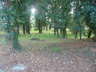Terreny residencial a Sils. Terreno en venta