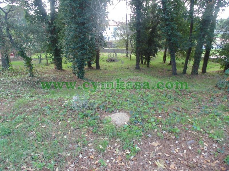 Foto c9d55f61-6ef8-4815-9293-1b061cb385d7. Terreno residenziale in Sils