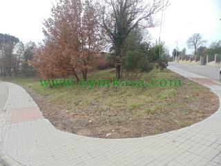 Finca rústica a Sils. Terreno en venta