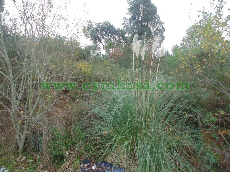 Foto 5309d0df-4f77-462d-98ed-0249ae8e1310. Finca rústica a Aiguaviva Parc Vidreres