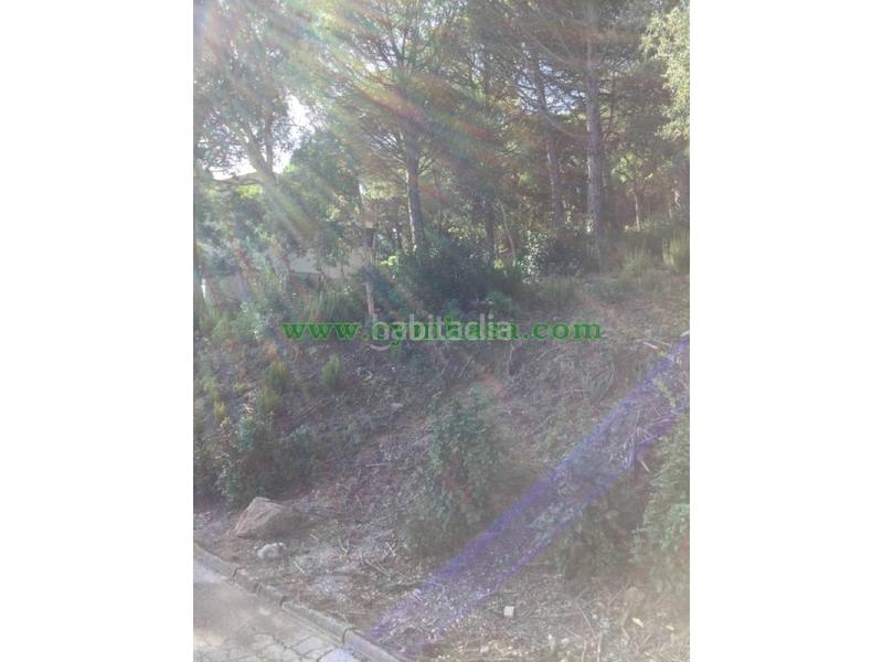 Foto 43d0f581-33d2-4deb-adf6-2a81768e4881. Fondo rustico in Lloret Verd - Els Pinars Lloret de Mar