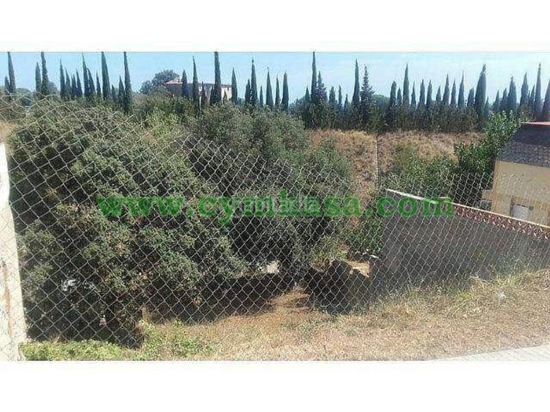 Foto 79a2704f-467f-457c-853c-9589971cf7cc. Landgut in Can Carreras - Montessol Pineda de Mar