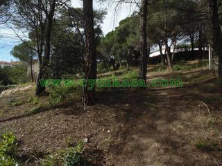 Finca rústica a Mas Mora-Sant Daniel. Terreno en venta
