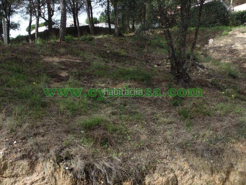 Foto 18a5f126-278a-4dc6-b5cb-a014130b672b. Fondo rustico in Tordera Tordera